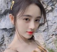 品牌服务档案